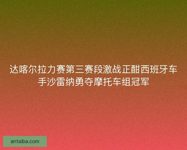 达喀尔拉力赛第三赛段激战正酣西班牙车手沙雷纳勇夺摩托车组冠军