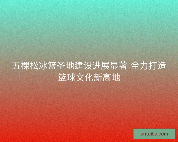 五棵松冰篮圣地建设进展显著 全力打造篮球文化新高地